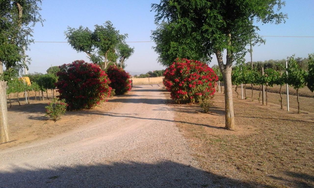 הוילה קסטליונה דלה פסקאיה Monolocale Con Giardino מראה חיצוני תמונה